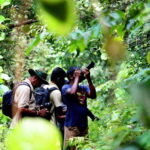 Sinharaja Rain Forest UNESCO Walk and Bird Watching Day Tour - Practical Details and Tips