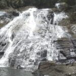 Sinharaja Rain Forest Waterfall Tour - Who Is This Tour Perfect For?