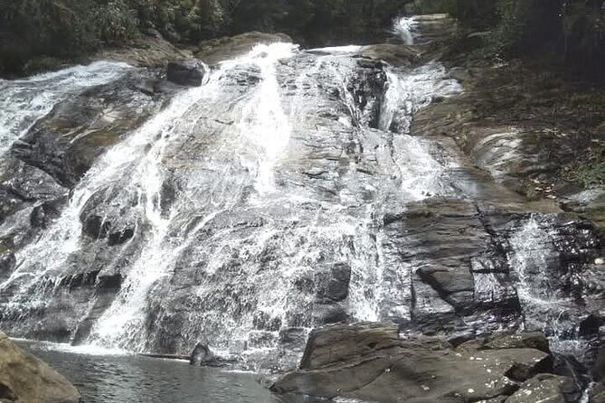 Sinharaja Rain Forest Waterfall Tour - Who Is This Tour Perfect For?