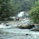 Sinharaja' rainforest - Adventure Tour (Full day) - Kekuna Ella Waterfall: A Refreshing Stop