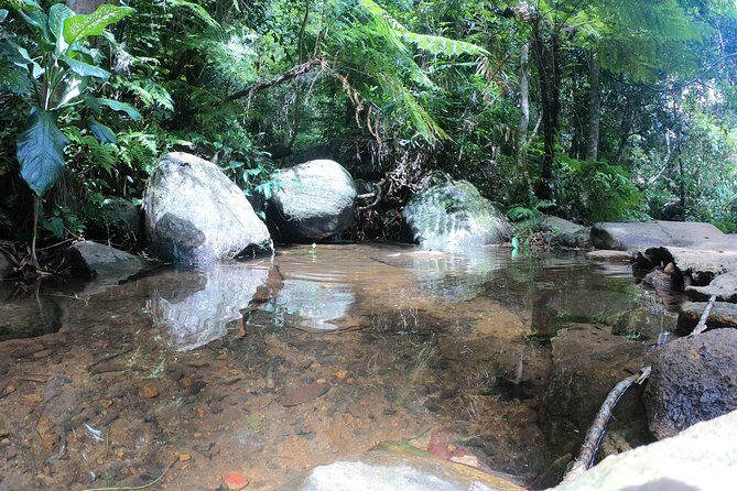 Sinharaja' rainforest - Adventure Tour (Full day) - Who Is This Tour Best For?