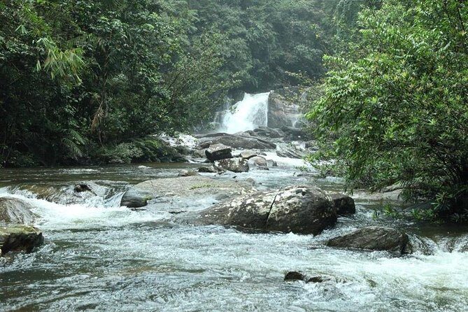 Sinharaja' rainforest - Adventure Tour (Full day) - Kekuna Ella Waterfall: A Refreshing Stop