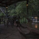 Sinharaja' rainforest - Discovery Tour (half day) - The Sum Up