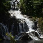 Sinharaja Rainforest: Nature Tour with Local Guide - Detailed Itinerary Breakdown