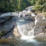 Sinharaja Rainforest: Tour with 5 Waterfalls Trek - The Sum Up