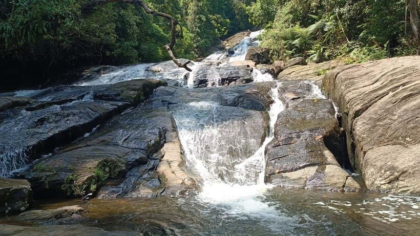 Sinharaja Rainforest: Tour with 5 Waterfalls Trek - The Sum Up