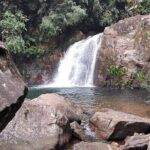Sinharaja Rainforest Trek Guided Jungle Hiking Experience - The Value of the Tour