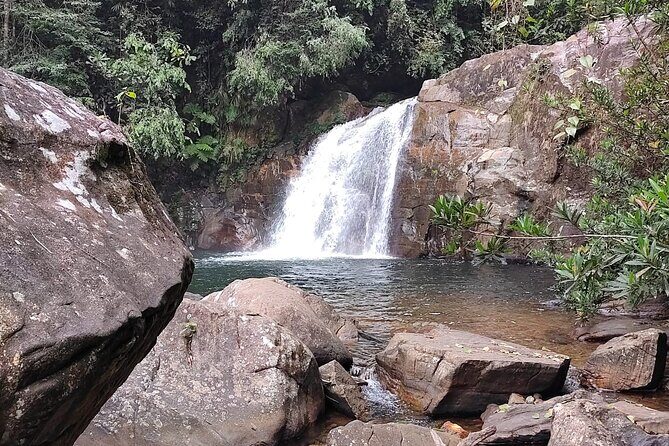 Sinharaja Rainforest Trek Guided Jungle Hiking Experience - The Value of the Tour