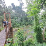 Sinharaja Rainforest Trip - Sinharaja Forest Reserve: The Heart of the Tour