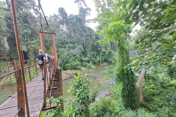 Sinharaja Rainforest Trip - Sinharaja Forest Reserve: The Heart of the Tour