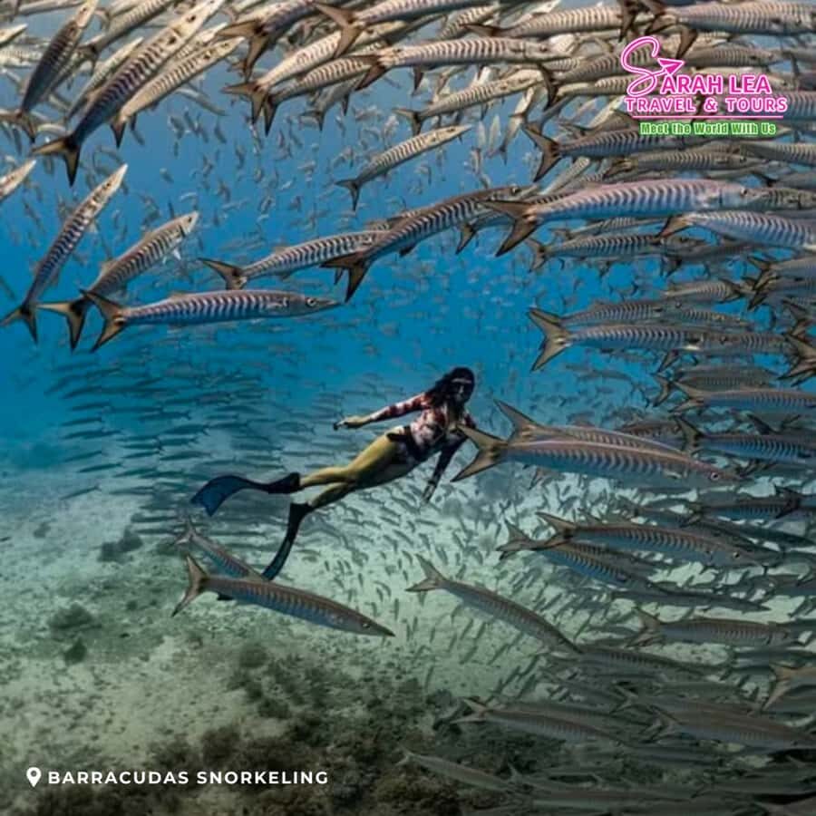 Siquijor: Island Adventure Day Trip with Snorkeling & Falls - The Itinerary in Detail