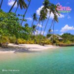 Siquijor: Ultimate Coastal Tour - Beaches & Iconic Landmarks - Practical Details and Traveler Insights