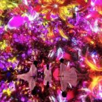 Skip the Line TeamLab Planets Ticket including Tokyo Hotel Pickup - Practicalities and Tips for Visitors