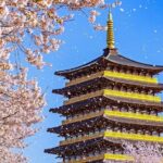 Sky Capsule with Cherry Blossom & Spring Flowers Tour from Busan - The Itinerary in Detail