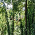 Sky Rock Khaolak Jungle Adventure - FAQ