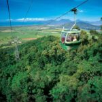 Skyrail Rainforest Cableway Round-Trip Experience - An In-Depth Look at the Skyrail Rainforest Cableway Experience