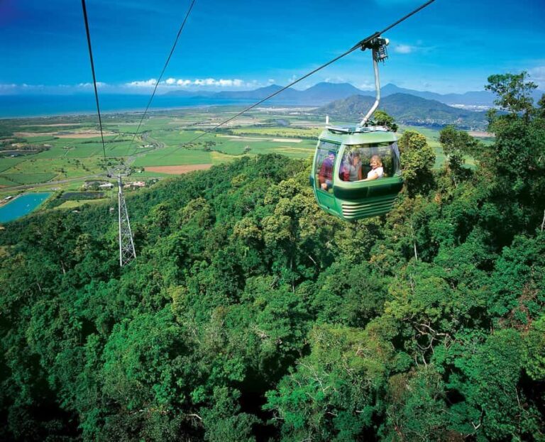 Skyrail Rainforest Cableway Round-Trip Experience - An In-Depth Look at the Skyrail Rainforest Cableway Experience