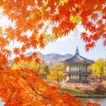 Small Group (7pax) Seoul Tour with Pickup/Dropoff (No Shopping) - Authentic Experiences and Personal Touches