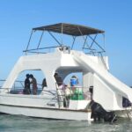 Small-Group Cruising and Snorkeling Catamaran Tour - What to Know Before Booking