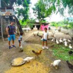 Small Group Discover Hoa Lu, Tam Coc, Mua Caves with Local House - What It’s Like to Spend the Day in Ninh Binh