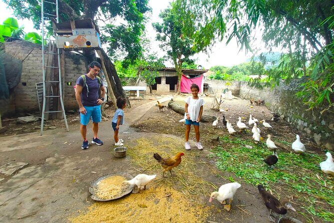 Small Group Discover Hoa Lu, Tam Coc, Mua Caves with Local House - What It’s Like to Spend the Day in Ninh Binh