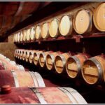 Small Group - Half-Day Hawke's Bay Winery Tour - Detailed Breakdown of the Itinerary