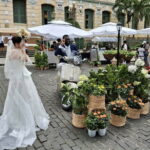 Small Group Ho Chi Minh City Half Day Sightseeing Tour - What Makes This Tour Stand Out?