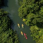 Small Group River Kayaking Tour from Port Vila - Good To Know