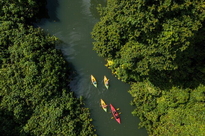 Small Group River Kayaking Tour from Port Vila - Good To Know