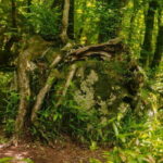 Small Group Tour in South Jeju Healing Island w/Mt. Halla & Falls - FAQs