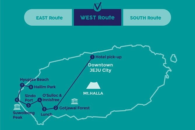 Small Group Tour in West Jeju Healing Island w/Caves & Dolphins - A Complete Breakdown of What to Expect