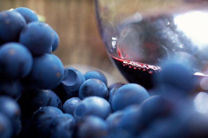 Small Group: Ultimate Yarra Valley Food and Wine - Transport, Timing, and Value