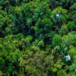 Small Group Waterfall Wetlands+ Skyrail All Inclusive from Cairns - Full Breakdown of the Tour Experience