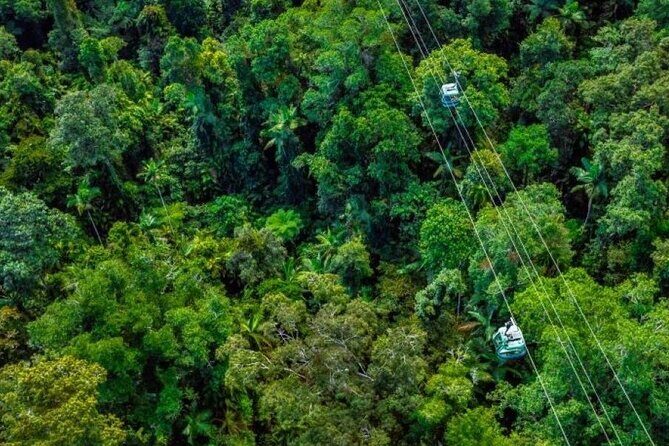 Small Group Waterfall Wetlands+ Skyrail All Inclusive from Cairns - Full Breakdown of the Tour Experience