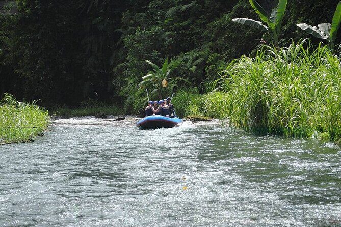 Small-Group White Water Rafting in Bali - The Sum Up