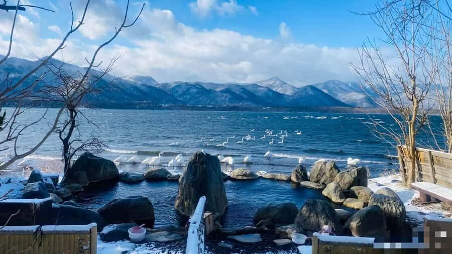 Small GroupA 4-day exploration of Eastern Hokkaido - What Makes This Tour Stand Out?