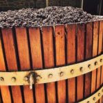 Small Tour Barossa Valley Voyager Tour from Adelaide - What Travelers Say