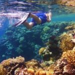 Snorkel and Private Tour in Montego Bay - An In-Depth Look at the Tour Experience
