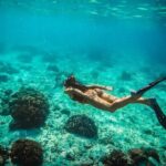 Snorkel boat trip: Sunken ship, old dutch fort & spanish bay - What’s Included and What’s Not