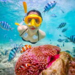 Snorkel & Chill: Nemo Island Trip from Pattaya - The Guides and Their Role in Making the Trip Memorable