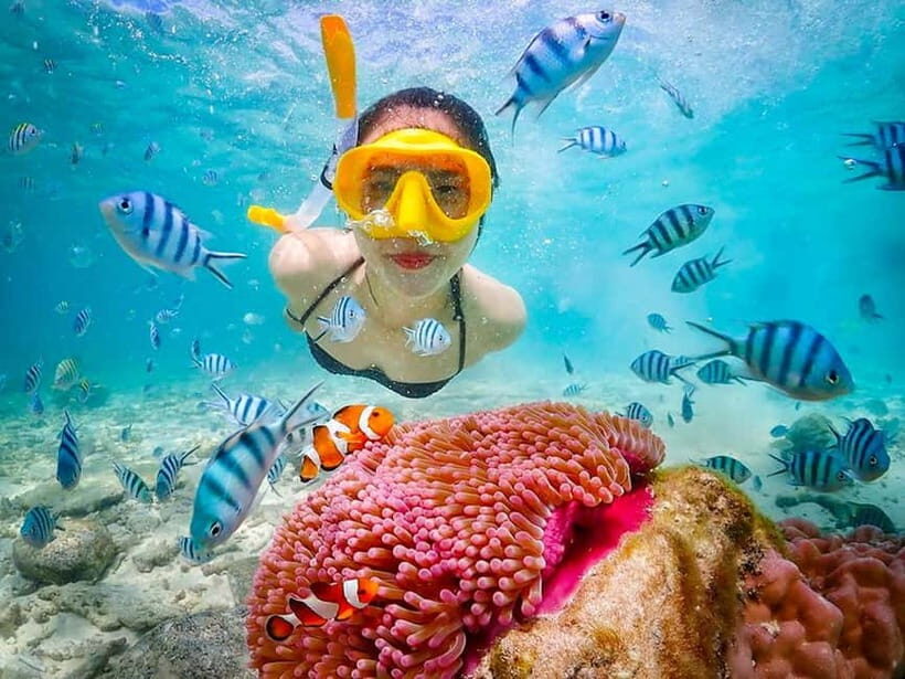 Snorkel & Chill: Nemo Island Trip from Pattaya - The Guides and Their Role in Making the Trip Memorable