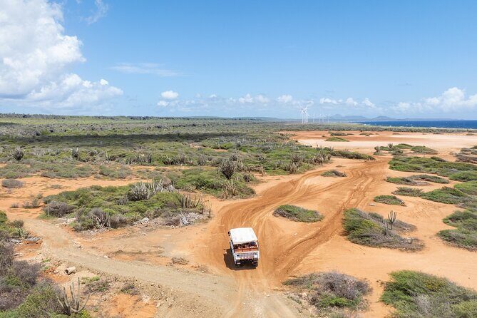 Snorkel Safari Tour - Why This Tour Offers Good Value