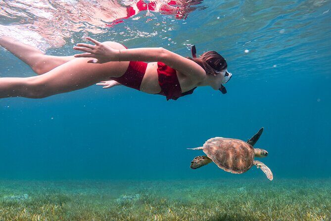 Snorkel, Swim & Snap-w/ Video - Exploring Puerto Rico Beyond the Usual