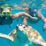 Snorkel Tour in Curacao - Good To Know