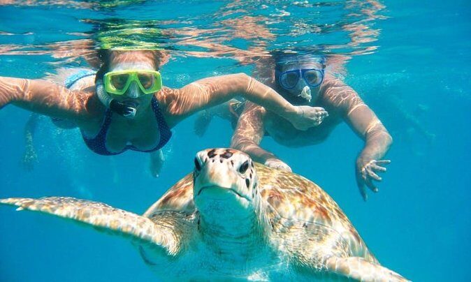 Snorkel Tour in Curacao - Good To Know