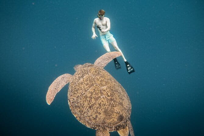 Snorkeling 3 Spots with GoPro & West Coast Tour Nusa Penida - The Practical Side: Transport, Duration, and Value  