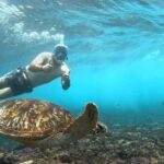 Snorkeling Activities + Western Side Nusa Penida Tour - The Sum Up