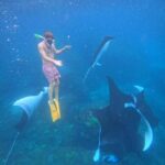 Snorkeling Activities + Western Side Nusa Penida Tour - The Itinerary Breakdown: What to Expect