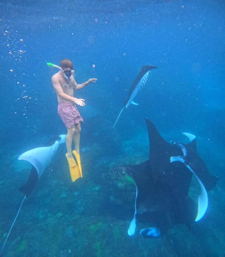 Snorkeling Activities + Western Side Nusa Penida Tour - The Itinerary Breakdown: What to Expect