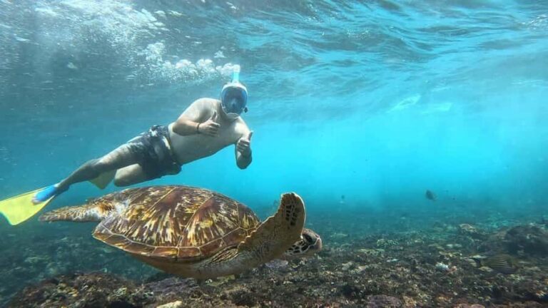 Snorkeling Activities + Western Side Nusa Penida Tour - The Sum Up